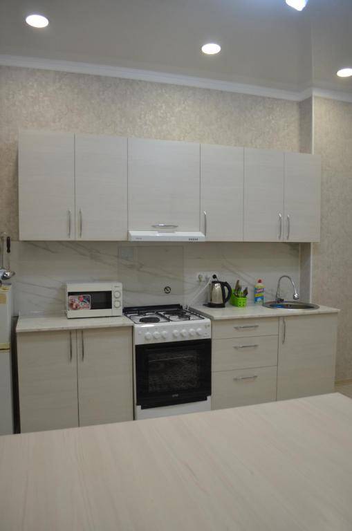 Apartment on Panfilov street 145