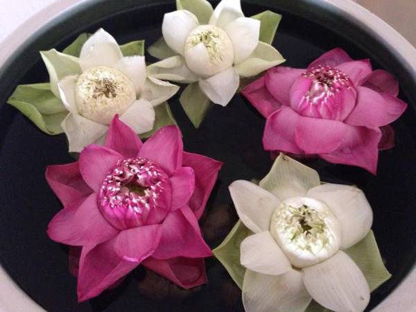 Anise Hotel and Restaurant