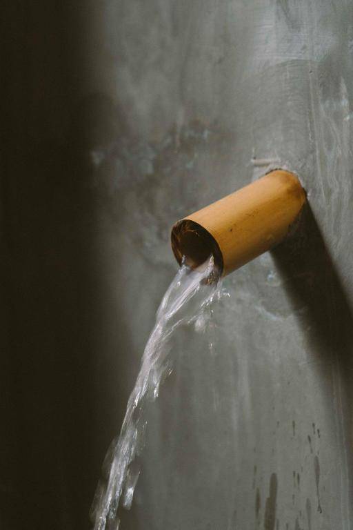 Larimar Hotel & Resort