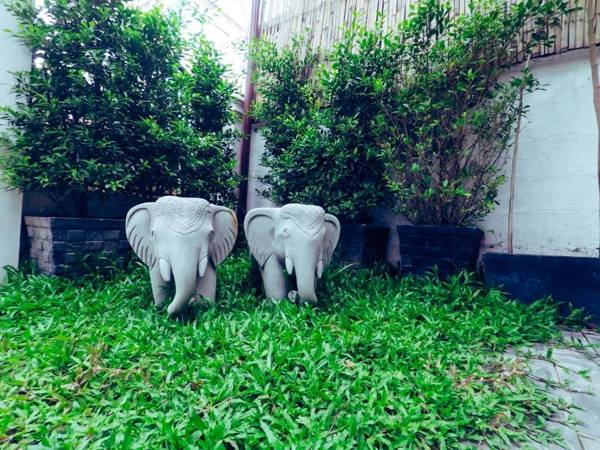 Adventure Siem Reap Lodge