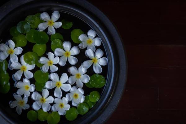 The Embassy Angkor Resort & Spa