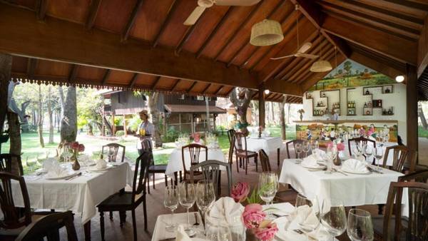 Mane Family Vacation