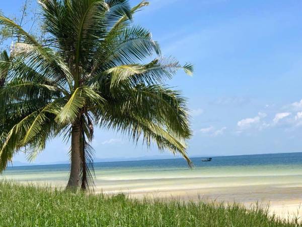 Anaya Koh Rong