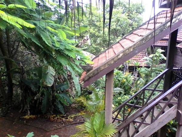 Nature House Eco-Lodge & jungle trek