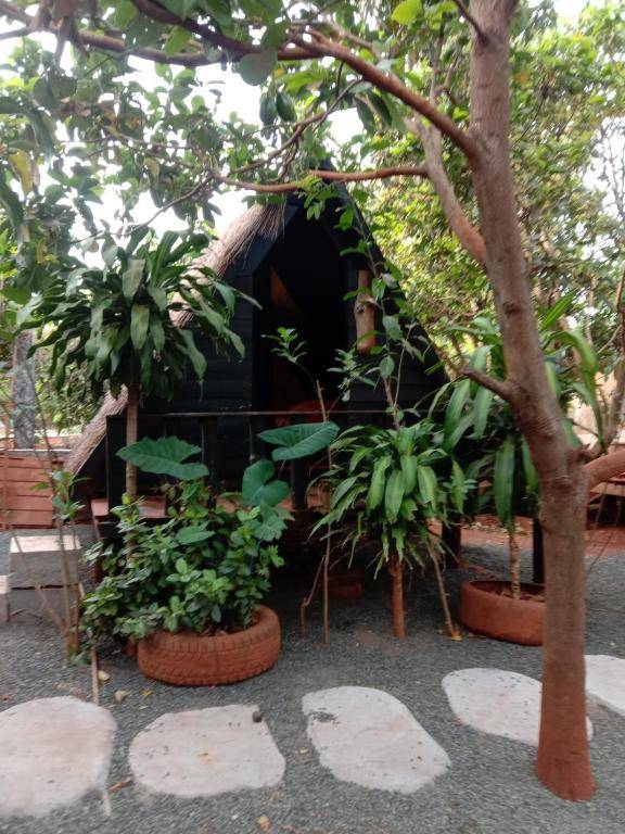 Ratanakiri Homestay & Jungle Trek