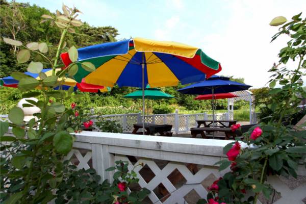 Yangyang Wink Pension