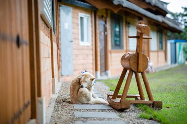 Yangyang Cheongjong Healing Forest Pension