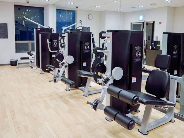 Sotetsu Hotels The Splaisir Seoul Dongdaemun