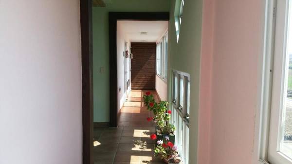 Flora Pension In Jeju