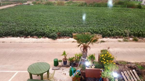 Jeju Gillime Pension