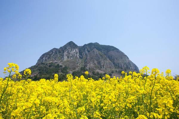 Ramada by Wyndham Jeju City Hall