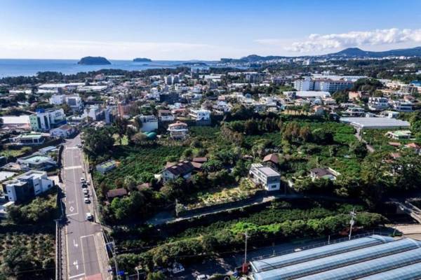 Seogwipo Log House Pension