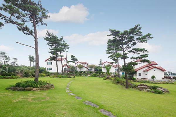 jeju dodamcheon pension