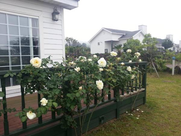 Jeju Skyline Pension