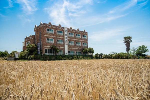 Jeju e House Pension