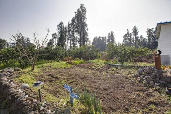 Seogwipo Teomuni House Pension