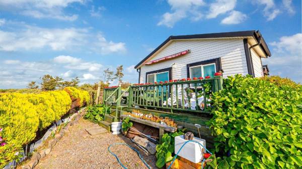 jeju kkot hyang gi badasori pension