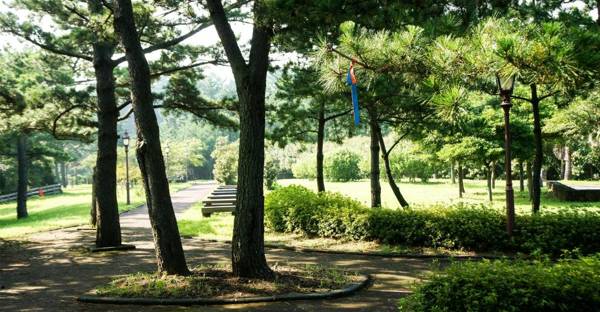 Bowhill Resort & Pension