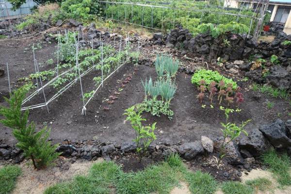 Blue Island Guesthouse