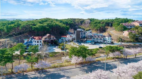 Gangneung gyeongpo pine pension