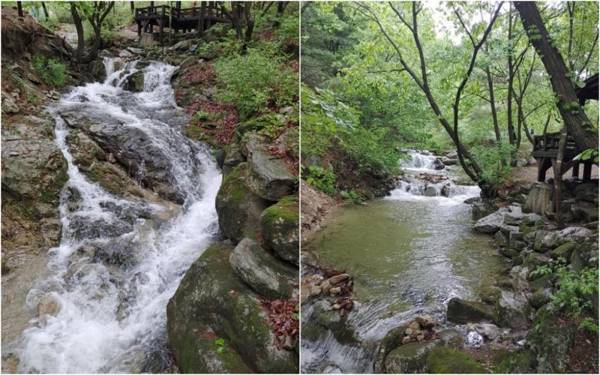 Vivaldi House Pension