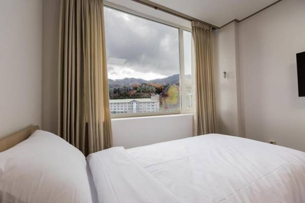 Pyeongchang the white view