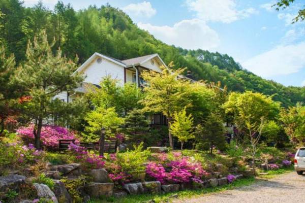 Pyeongchang Geumdang Lodge Pension