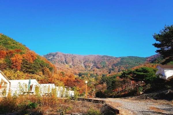 Changnyeong Star Forest Glamping Pension