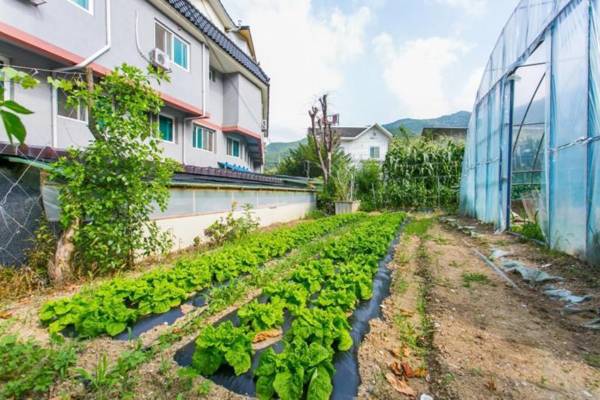 Muju Rainbow Pension