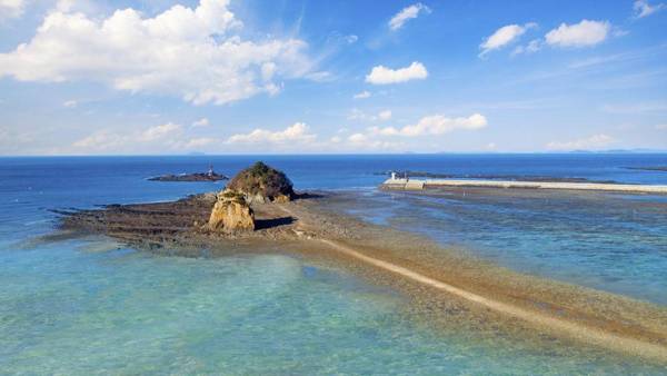 Anmyeondo 7th Cat Pesnion