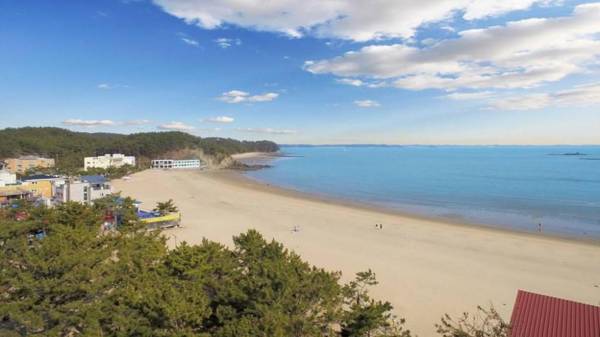 Yeonpo Beach Pension