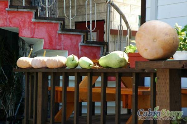Taean (Anmyeondo) Forest Pension