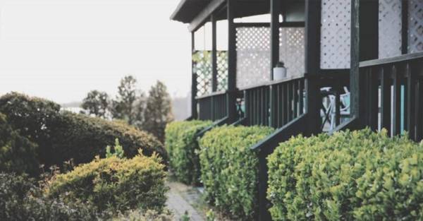 Taean (Anmyeondo) Today's afternoon pension