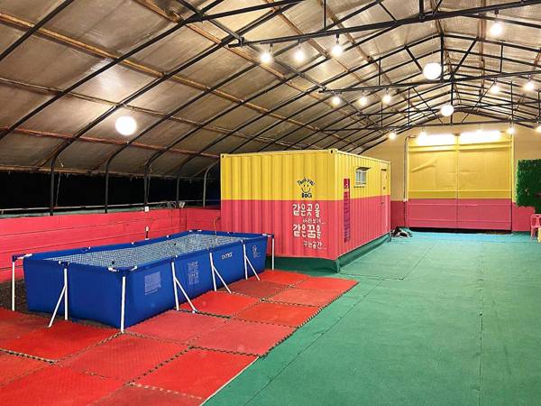 Thank You Dog Pension