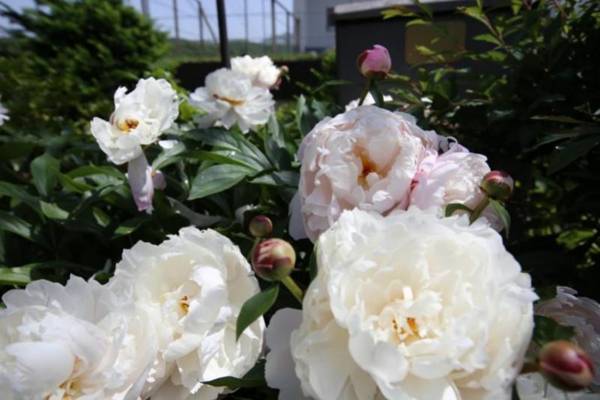 Yangpyeong Maison du Ciel Pension