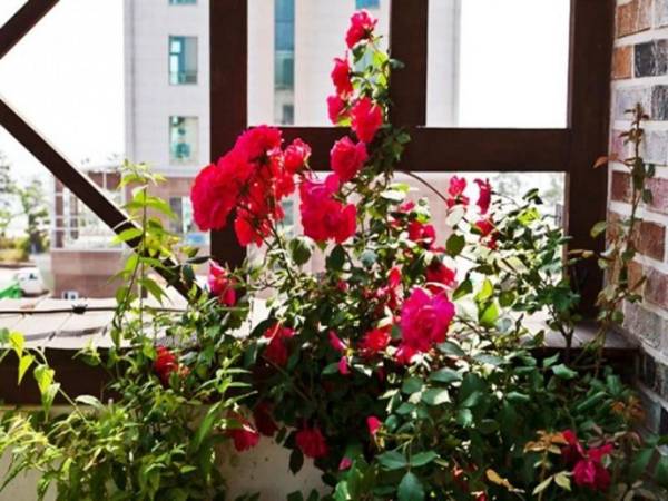 Boryeong (Daecheon) Blue Beach Pension