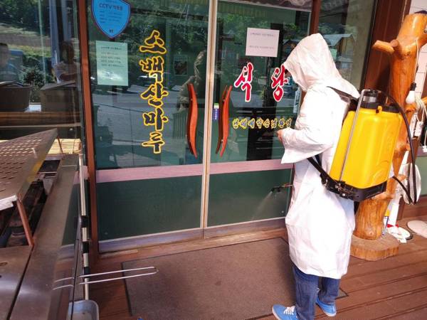 danyang sobaegsanmaru