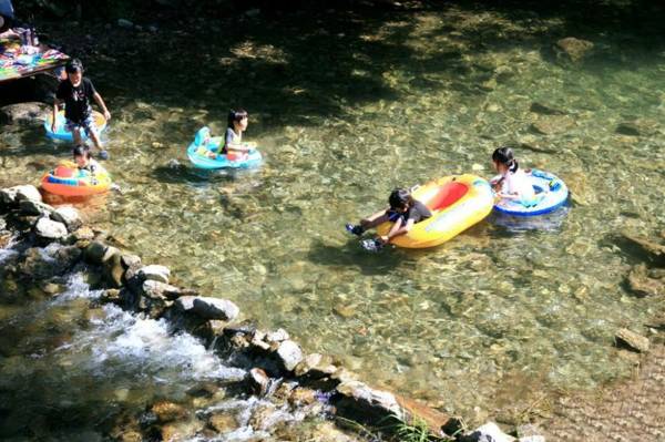 Dorothy's Forest Pension