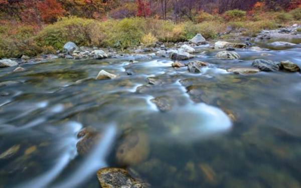 Gapyeong Suryuhwagaewon Pension