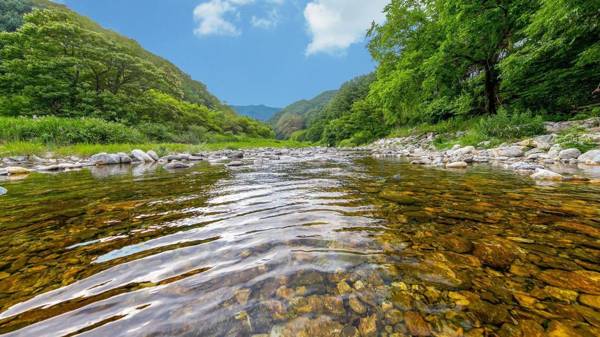 Gapyeong Cherrish Pension