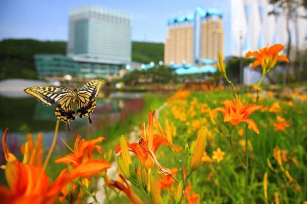 High1 Grand Hotel Main Tower (Kangwonland Hotel)