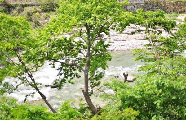 Yangsan (Baenaegol) Dainchon Pension