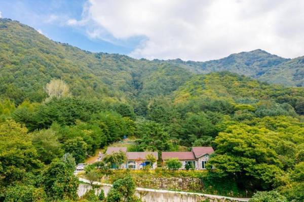 Youngwal cloud garden