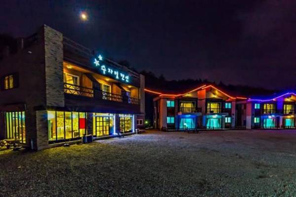 Goseong (Sokcho) Sujabyeol Pension