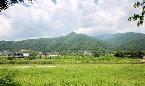 Poolip Family House(2020.07 OPEN)