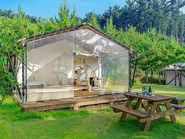seocheon paintree glamping