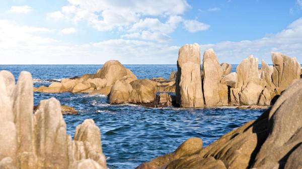 Gangneung Basecamp Glamping