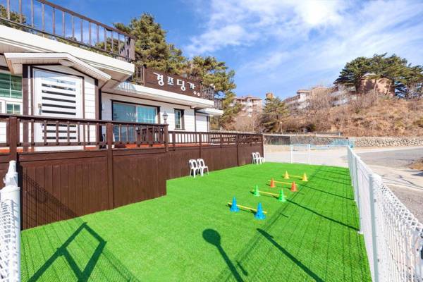 Gangneung Gyeongpo Dinga Aegyun Pension