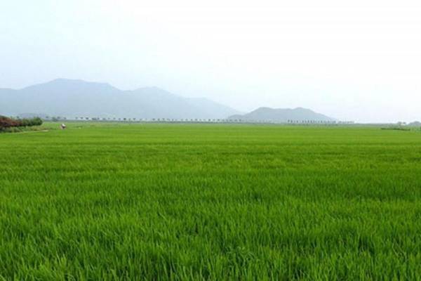 Suncheonman Travel Pension