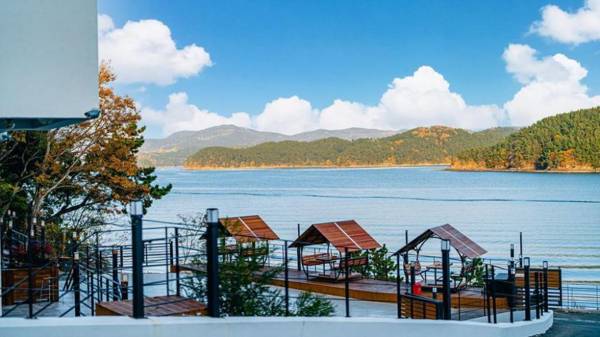 Lacvert Pool Villa Pension